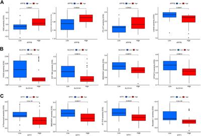 Significance of cuproptosis- related genes in the diagnosis and classification of psoriasis